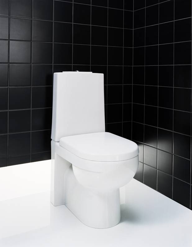 Toilet Artic 4310 - built-in P-trap - 