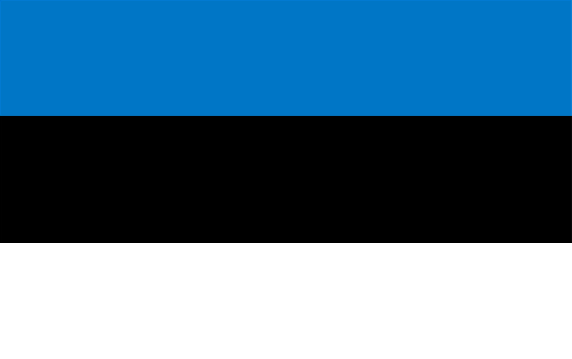 Estonian flag